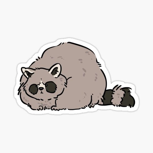 Discover Warm and Soft Raccoon