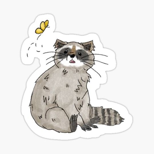 Discover Cute raccoon sticker