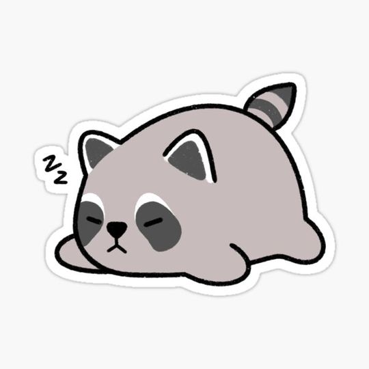 Discover Sleepy Raccoon