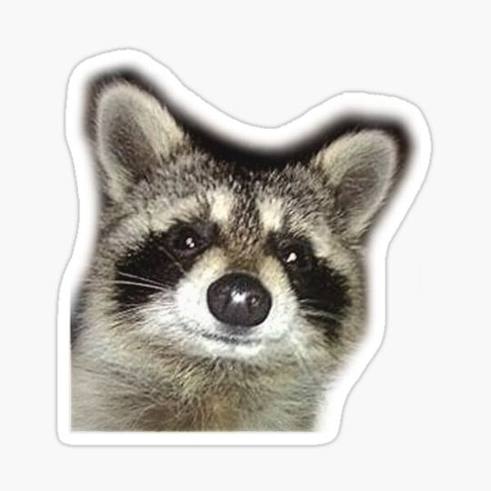 Discover Cute Smiling Raccoon Art