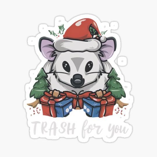Discover Raccoon gift