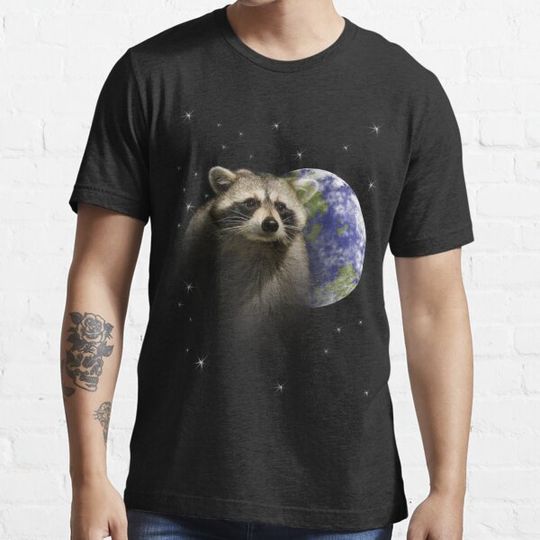 Discover Raccoon Dream6