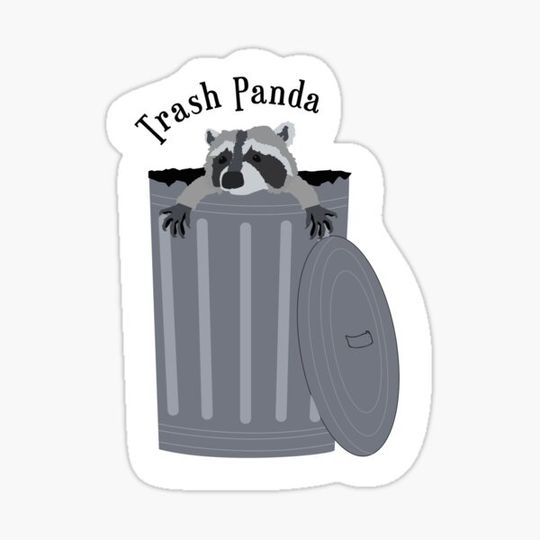 Discover Trash Panda / Raccoon in bin