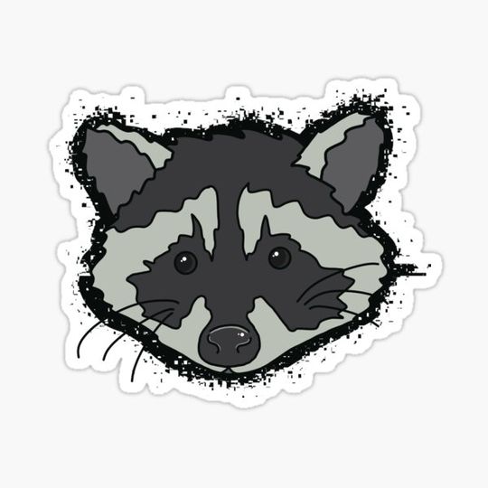 Discover Trash Panda Raccoon