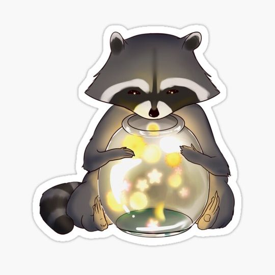 Discover Night Raccoon