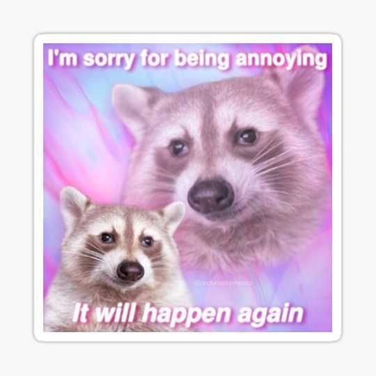 Discover I'm sorry for being annoying it will happen again raccoon meme