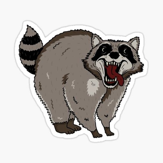 Discover Raccoon