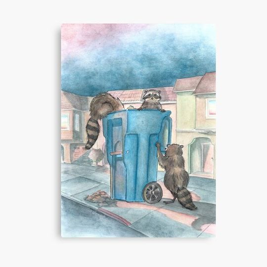 Discover Sunset Scavengers