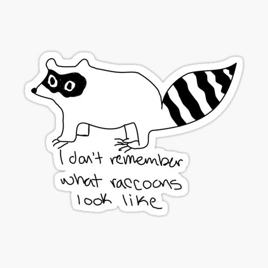 Discover Forgotten Raccoon