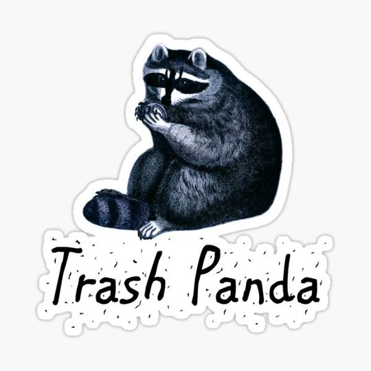 Discover Trash Panda