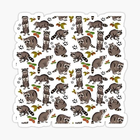 Discover Racoon party