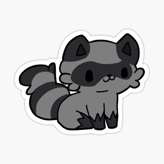 Discover Gray raccon