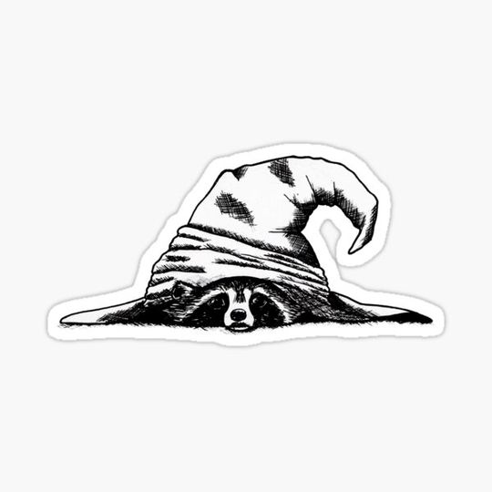 Discover Raccoon witches hat