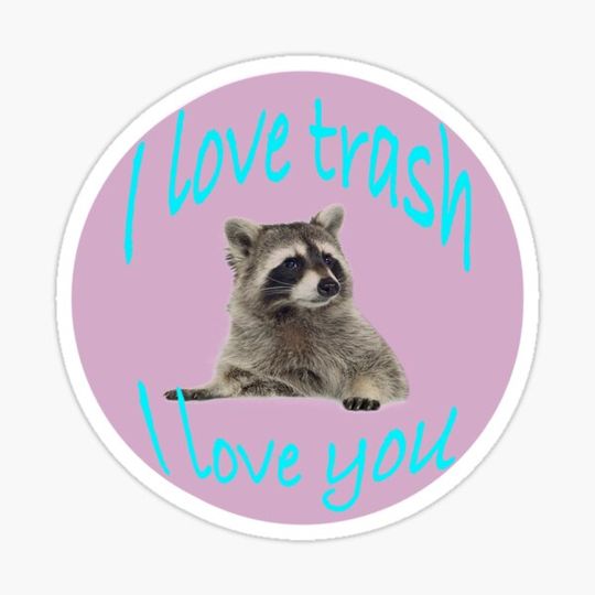 Discover raccoon