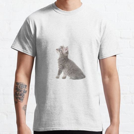 Discover Cute Cat