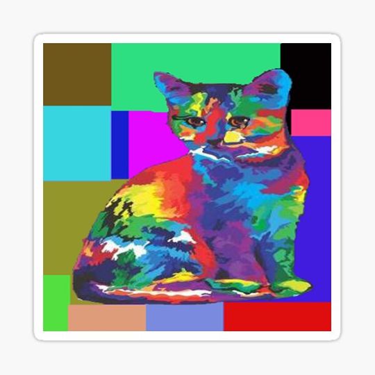 Discover Beautiful cat