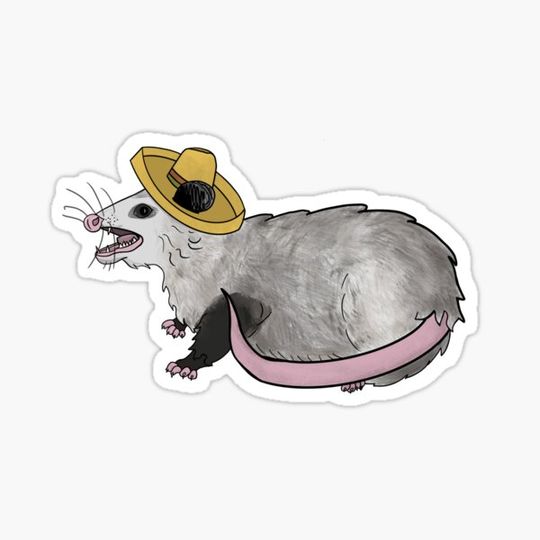 Discover Sombreropossum