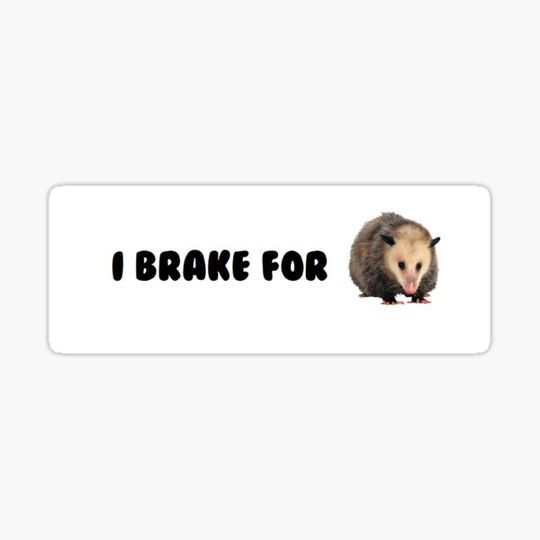 Discover I brake for~