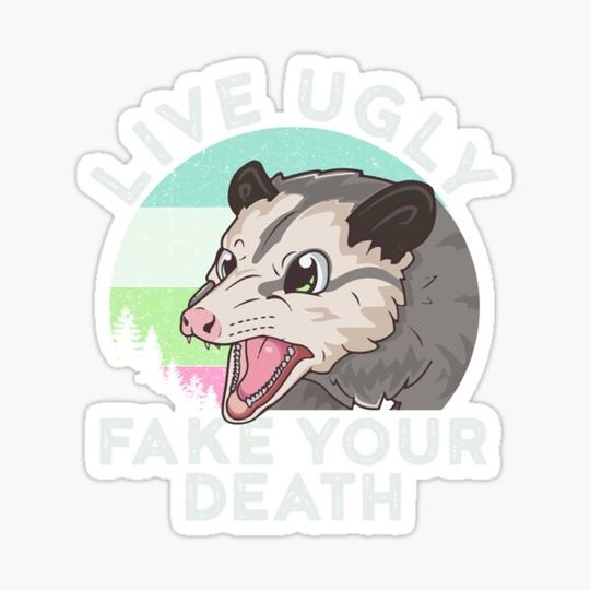 Discover Cute Opossum