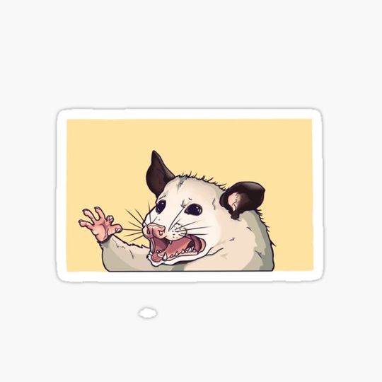 Discover Baby Opossum Needs You