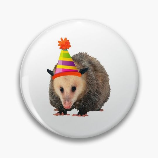 Discover CTP Party Possum