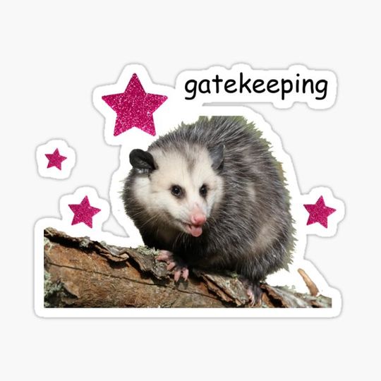 Discover Possum Funny Gatekeep Girlboss