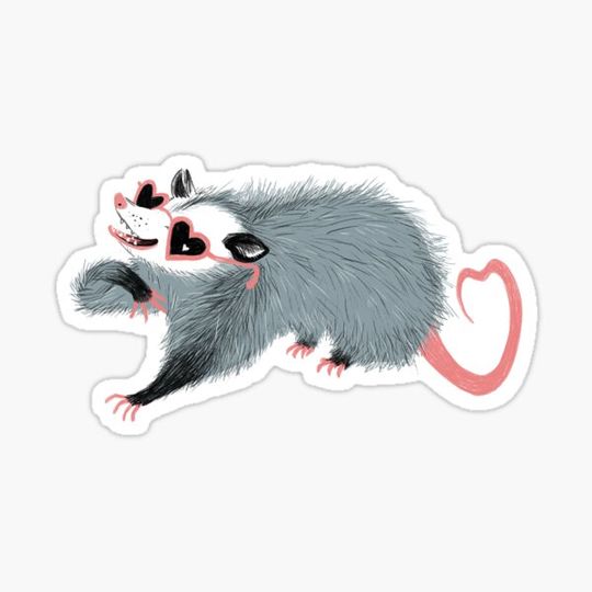 Discover awesome possum
