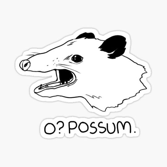 Discover O? Possum.
