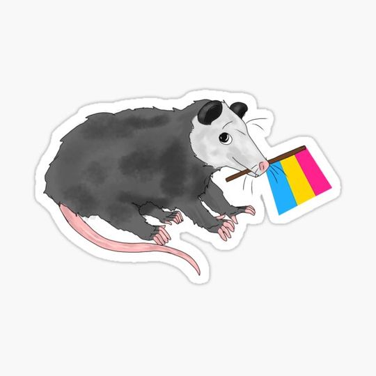 Discover Panpossum