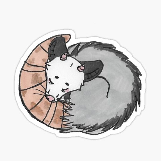 Discover Sleepy Possum