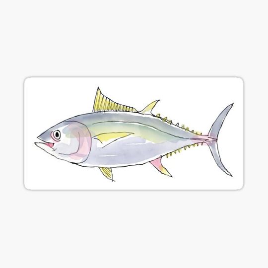 Discover BigEye Tuna