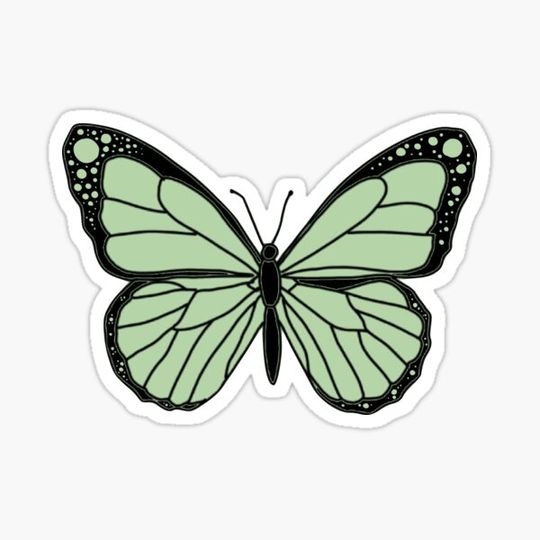 Discover Sage Green Butterfly Design with Black Outline