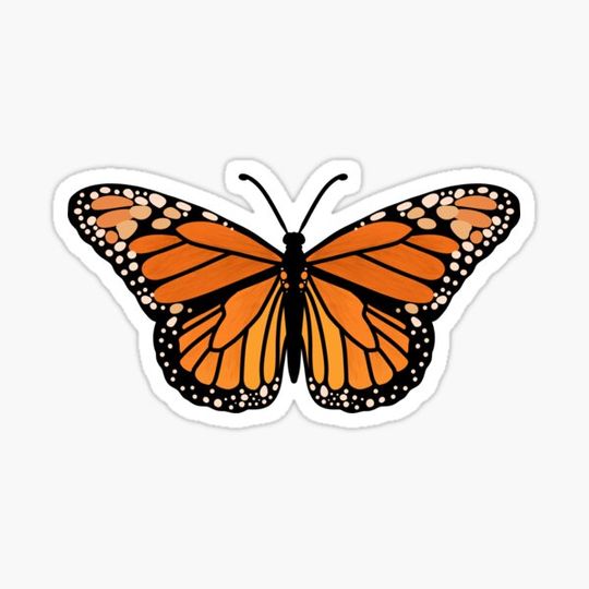 Discover Monarch butterfly