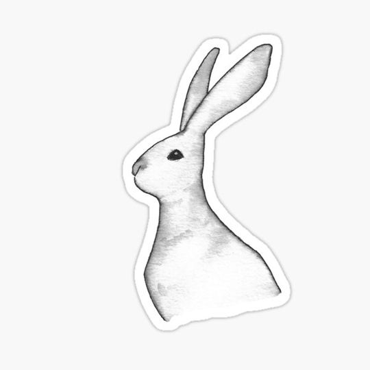 Discover Jackrabbit Profile in Ink