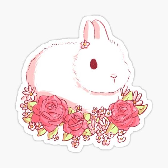 Discover Bunny and Roses
