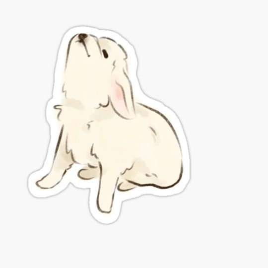 Discover Little Singing Dog