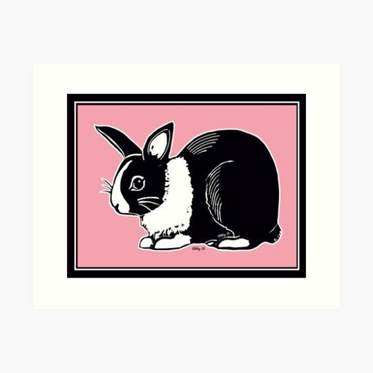 Discover Black & White Dutch Rabbit with Soft Pink