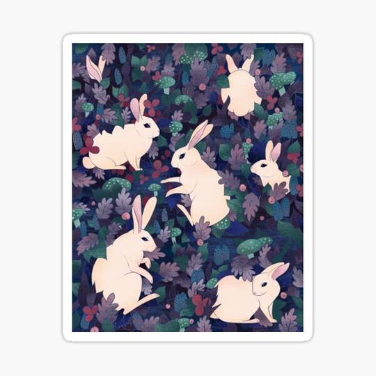 Discover Rabbits