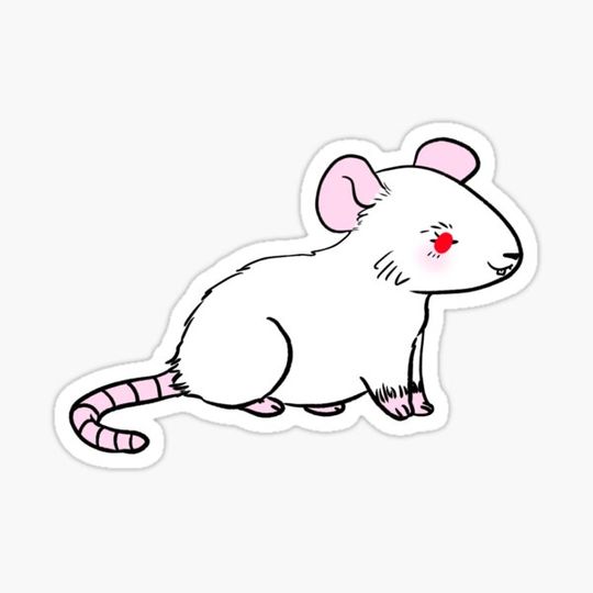 Discover Rat
