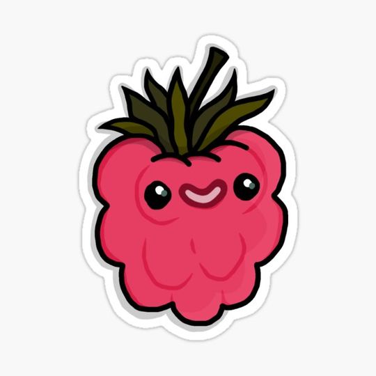 Discover Reggy Raspberry
