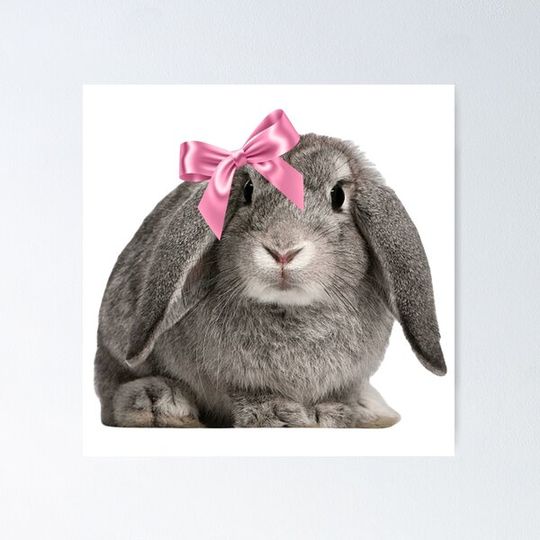 Discover Coquette bunny