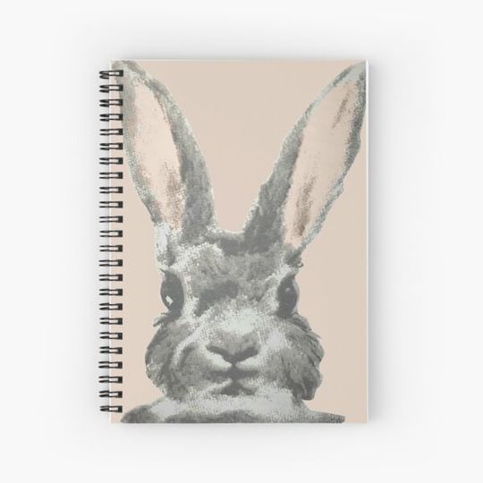 Discover Bunny