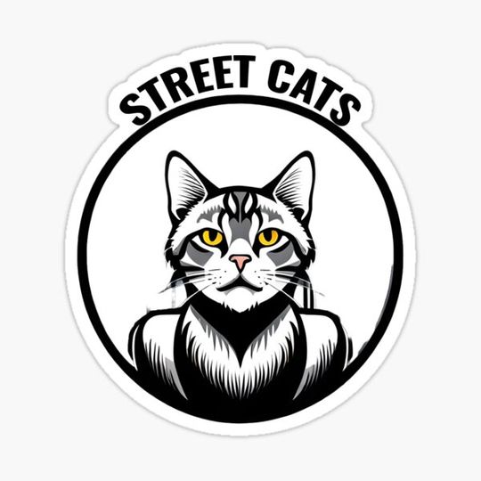 Discover Street Cats