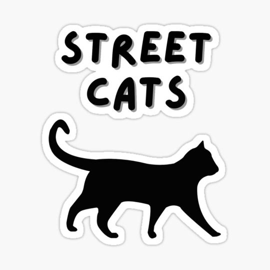 Discover Street Cats