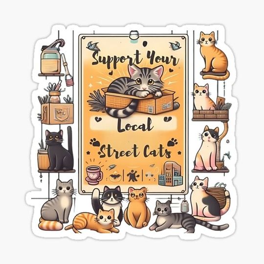 Discover Street Cats