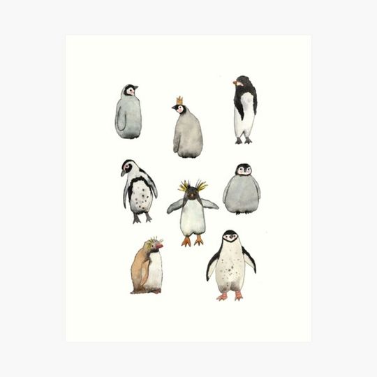 Discover Penguin gang
