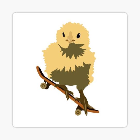 Discover Rad Chick
