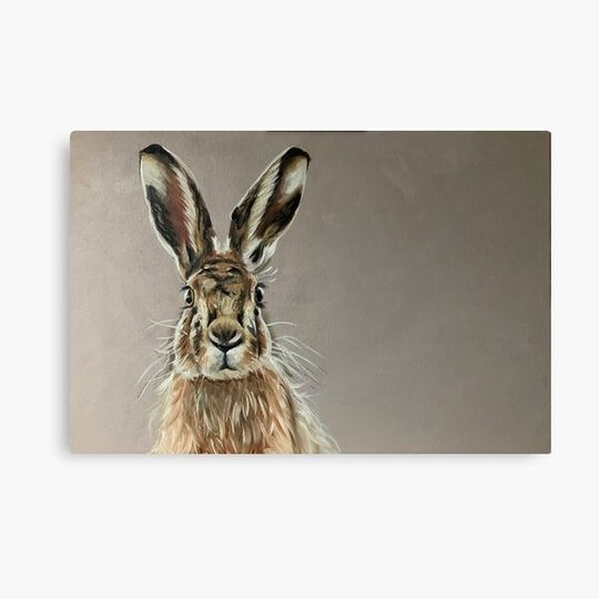 Discover Hare