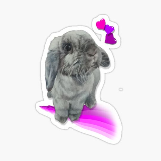 Discover Cute bunny sitting on a rainbow pink wave
