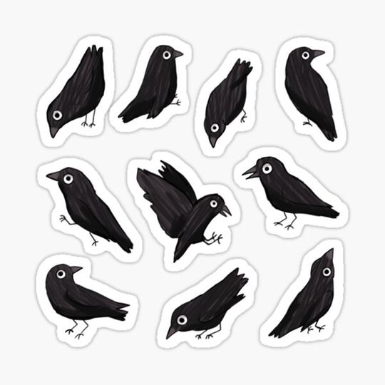 Discover Cartoon crow pack